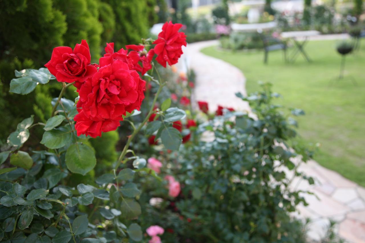 Hotel Sunlife Garden Hiratsuka Bagian luar foto