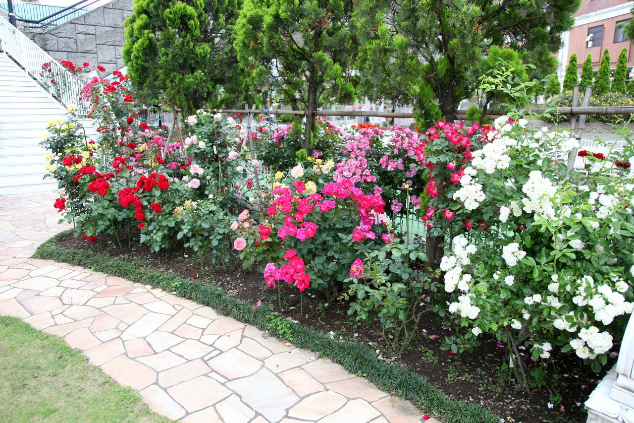 Hotel Sunlife Garden Hiratsuka Bagian luar foto